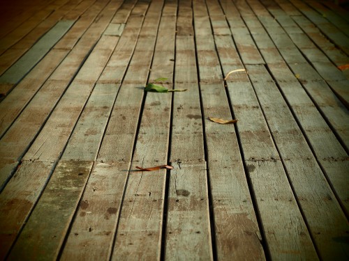 Stay the Path